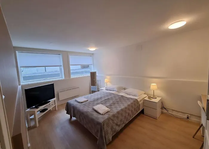Room In House - Spacious Private Room, Queen Bed, Close To Center